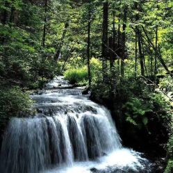 -时尚妈咪产后修复中心