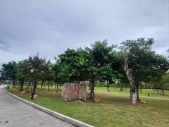 -芒洲湿地公园
