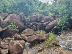 -广州白江湖森林公园