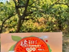 -南北湖风景区