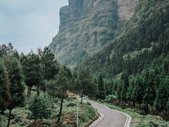 -重庆睡佛山森林公园