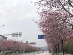 -重庆彩云湖湿地公园