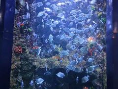 -海合安青岛极地海洋公园