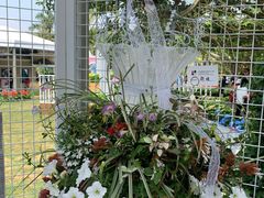 -深圳仙湖植物园