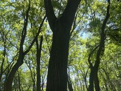 -玲珑塔公园