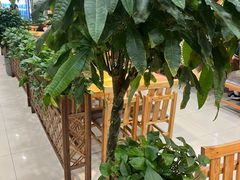 -盛合顺羊汤(滑翔路店)