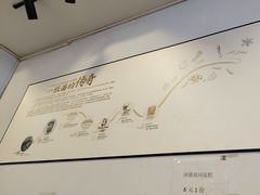 -康大口蘑面庄(将军街店)