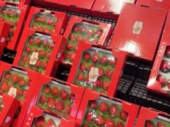 -Olé精品超市(深圳万象城店)