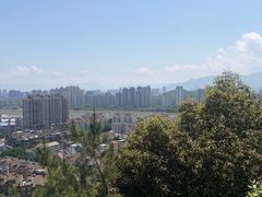 -福道