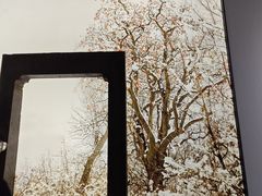 -中国湿地博物馆