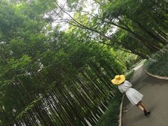 -桤木河湿地公园