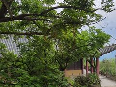 -冶父山国家森林公园