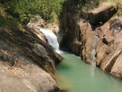 -广州白江湖森林公园