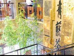 -青藤茶馆(南山路店)