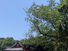 -鹤冈八幡宫