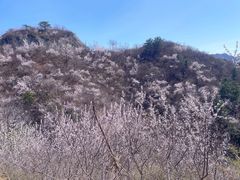 -龙泉峪长城
