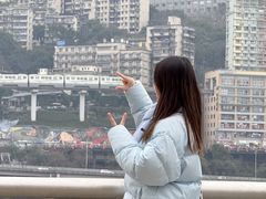 -李子坝梁山鸡(李子坝大鸡哥店)