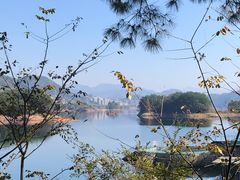 -好灶头妈妈菜·千岛湖土菜地标美食