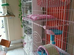 -青春加萌照相馆