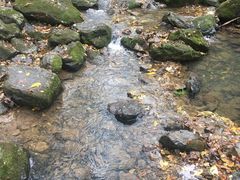 -香炉山国家森林公园