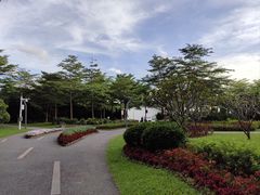-福田红树林生态公园