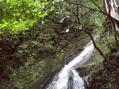 -藏龙百瀑风景区