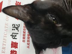 -御宝贝24h宠物医院·转诊中心·CT核磁血透中心(厦门总院)