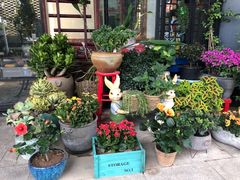 -粤色·老广州茶餐厅(河南商会大厦店)