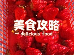 -喜杨洋草莓采摘园