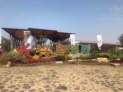 -上海长兴岛郊野公园