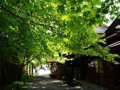 -三千院