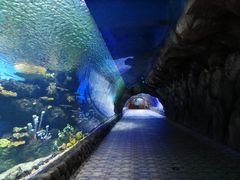 -华夏文旅海洋公园