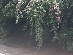 -铁路文化公园