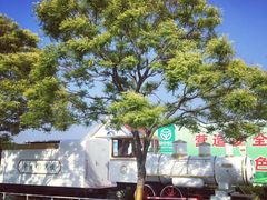 -兰陵国家农业公园