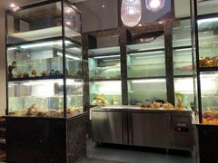 -甄御•海鲜新青岛菜(麦岛店)