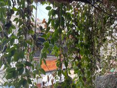 -香满楼(临安路店)