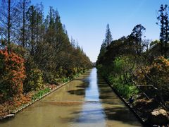 -上海长兴岛郊野公园