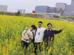 -光明小镇欢乐田园