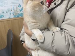 -瑞派宠物医院·24h·骨外科·皮肤科·全科宠物医疗转诊中心(沈阳浑南院)
