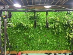 -漾健身·普拉提(橡树湾店)
