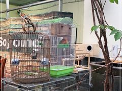 -伊隆斋(什刹海店)