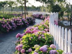 -杭州六谷生态休闲农庄有限公司