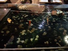 -悦慕·花满溪(新城吾悦店)