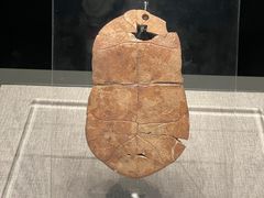 -河南博物院