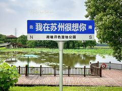 -荷塘月色湿地公园·向阳花洲