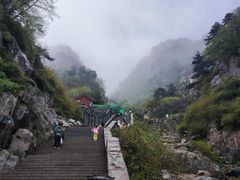 -泰山风景名胜区