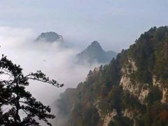 -秦岭风景区