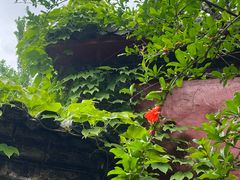 -淄博聊斋城景区
