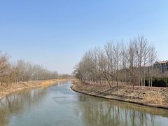 -东郊湿地公园
