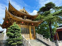 -上海东林寺(金山区)